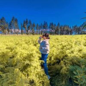 Indah Isma profile icon