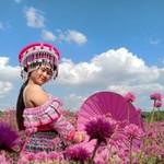 Kaew Wannakorn profile icon