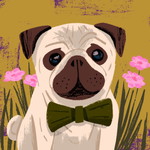 veronica wijaya profile icon