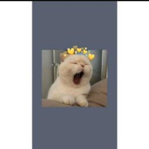 sy_ lusi profile icon