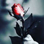 Nur Shamira Mira profile icon