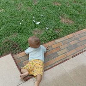 Dila Dila profile icon