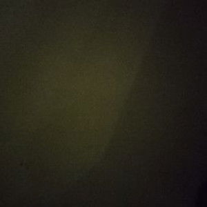 siti nurani profile icon