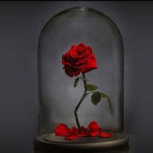 imaa zara profile icon