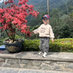 An Nhiên profile icon