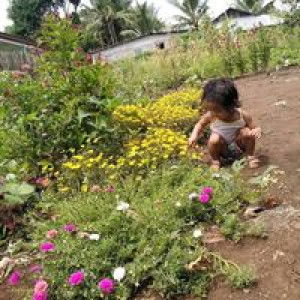 Kimjie Holguin profile icon