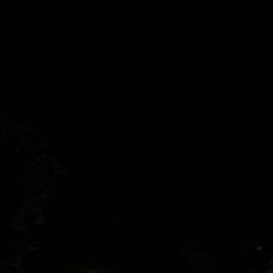 Yuliana Fitriany Bita profile icon