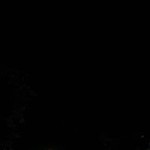 Yuliana Fitriany Bita profile icon