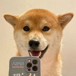 Sa Tan profile icon