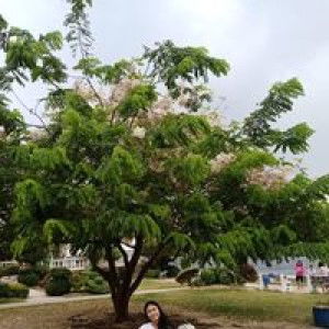 Mieshind Faith Sabalza Tiston profile icon