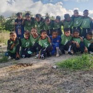 Dede Lamsyah profile icon