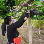 ดา'า ดื้อ'อ profile icon