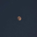 Arpapat Pinthong profile icon