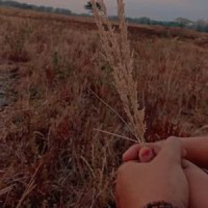 بسيط ألفاريس profile icon