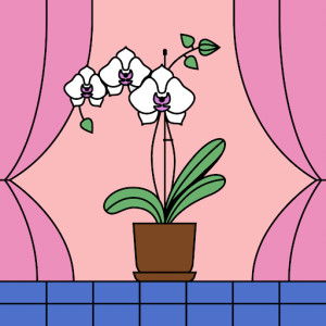 Yuli anah profile icon