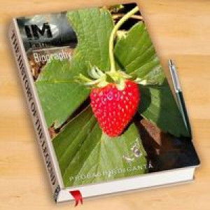 Nur Aeni profile icon