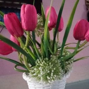 Susi Yana profile icon