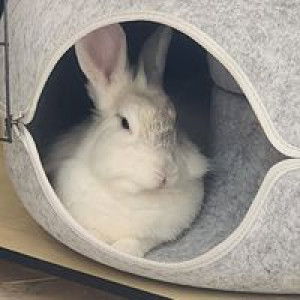 Imelda Handoko profile icon