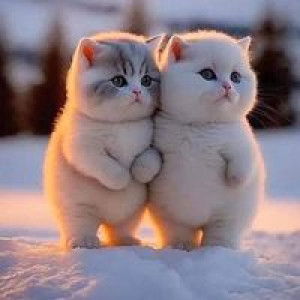 Cik Gula profile icon