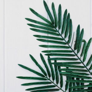 suhaili samsudin profile icon