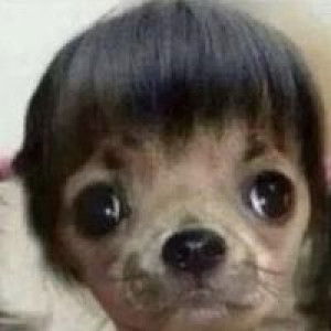 Filmmi Yaowalak profile icon