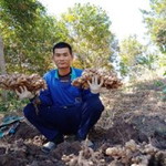Somchai Saelee profile icon