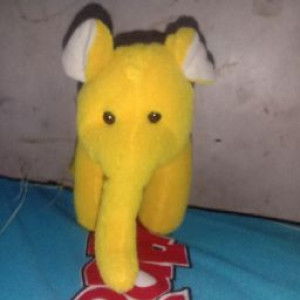 fimela mel profile icon