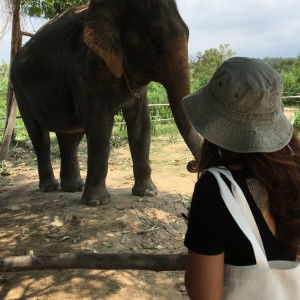 jiraporn prawarana profile icon