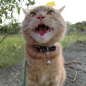 ฟาริดา ผ่านสำแดง profile icon