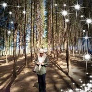 Afifah Asri profile icon