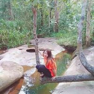 โสรยา นกตัวน้อย profile icon