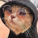 พี่น็อต ไง profile icon