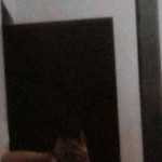 Ashley Vien Estrada profile icon