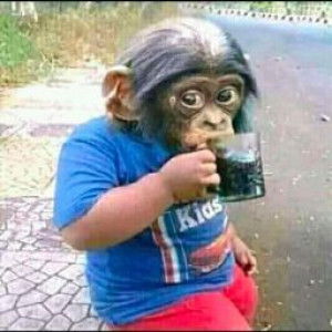 Adi Surya Dinata profile icon