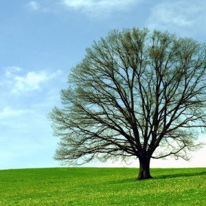 yulia asriani profile icon