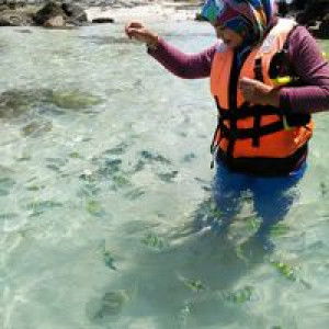 Nur Ainun Samad profile icon