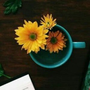 Istiqomah Aja profile icon