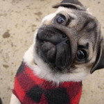 NUM BEER profile icon