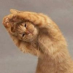 Mon Mon profile icon