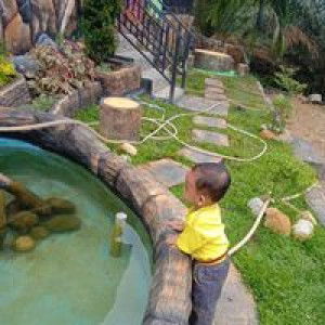 Monicaa Septideriaa profile icon