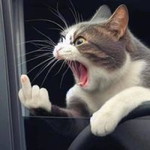 ป๊อป'ป จ๋า'า profile icon