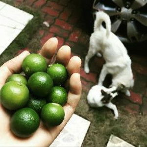 cris bay profile icon