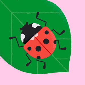 Nat Thakon profile icon