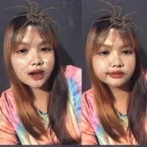 Anisa Thippaya profile icon