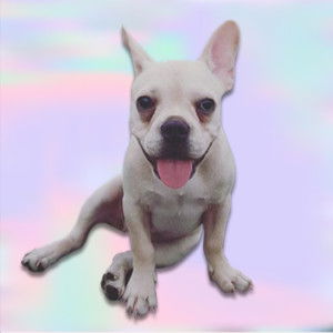 Panatchakorn Tongngamkham profile icon