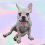 Panatchakorn Tongngamkham profile icon