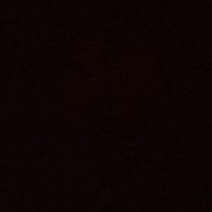 Nur Wahidah profile icon