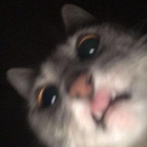 Khimberly Heart Gonzales Basa profile icon