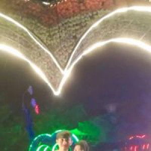 Dheyont Bee profile icon