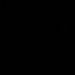 Ummu Amirah profile icon